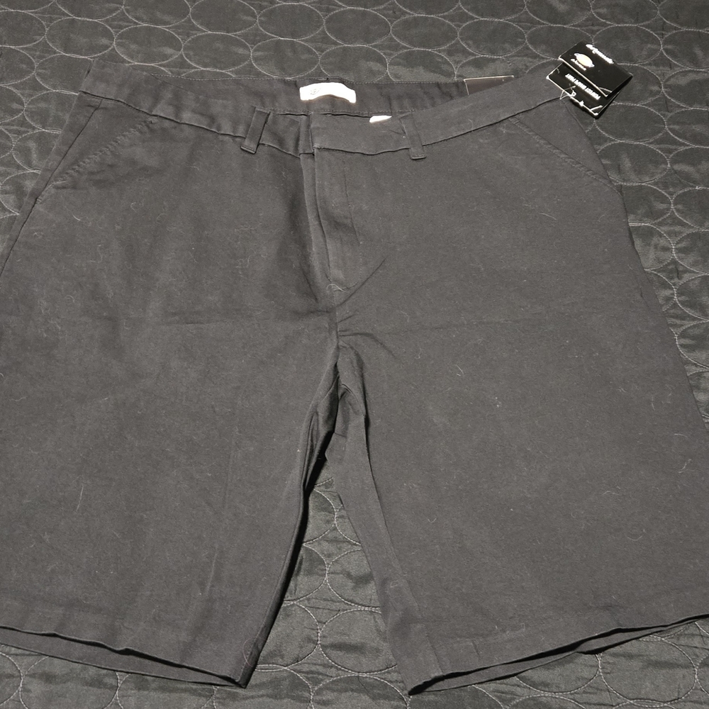 Dickies Women's Black Flat Front Shorts